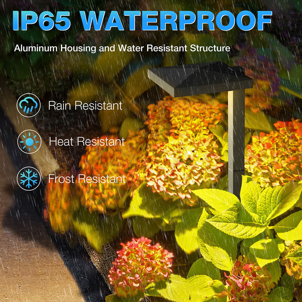 Low Voltage Anti-Glare LED Landscape Pathway Lights 12 Pack LDAWB-05-12C