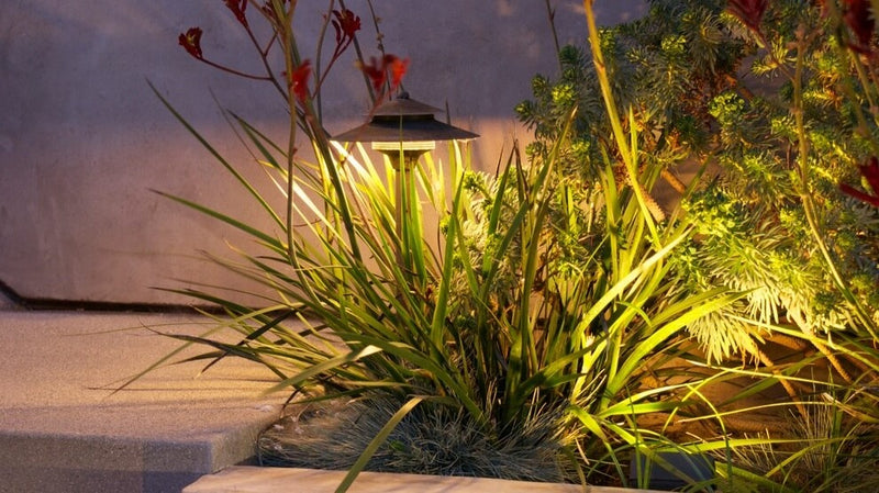 Bright Ideas for Outdoor Beauty: Low Voltage Landscape Lighting Tips ...