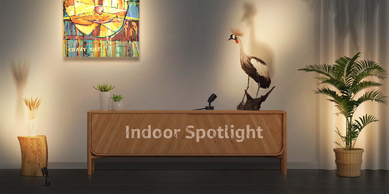 Indoor Lighting