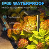 Low Voltage Anti-Glare LED Landscape Pathway Lights 12 Pack LDAWB-05-12C