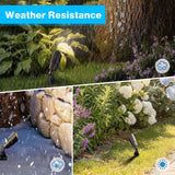 5" Solid Brass Low Voltage Outdoor Landscape Spotlights 8 Pack (No Bulb) CLB5-GH-08C