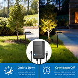 Low Voltage Landscape Lighting Kit 6 Pathway Lights + 2 Spotlights with Transformer & Wire KTW-W6DA2S6
