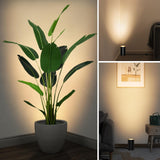 5W Black Uplighting Floor Can Spotlight with 2700K GU10 Bulbs & 5.9 FT Plug Cord & Foot Switch 2 Pack FCL-02B-02 SUNVIE