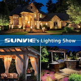 300W Low Voltage Landscape Lighting Transformer with Timer and Photocell Sensor LVT-MH-300W SUNVIE